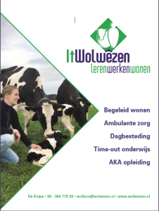 Wedstrijdsponsor bij Kinea - DWA/Argo